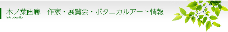 木ノ葉画廊　作家・展覧会・ボタニカルアート情報